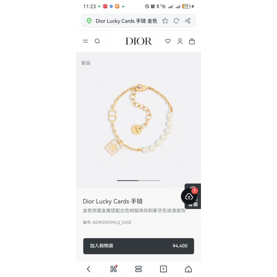 Dior Jewelry Necklace