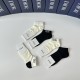 Dior Socks