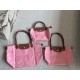 longchamp Bags Top Quality size：17*10cm