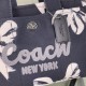 Coach Bags High Quality