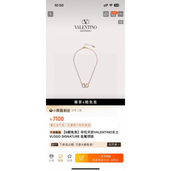 Valentino Jewelry Necklace