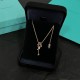 Tiffany Jewelry Necklace
