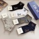 Dior Socks