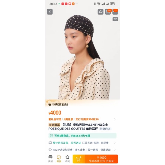 Valentino Jewelry Earrings