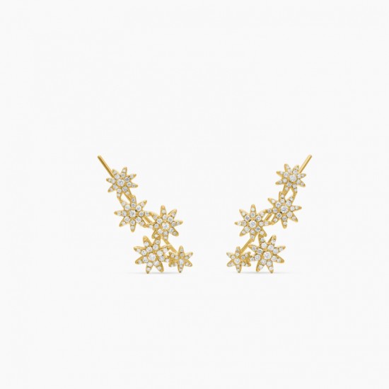 David Jewelry Earrings