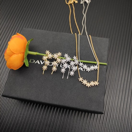 David Jewelry Earrings