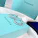 Tiffany Jewelry Earrings