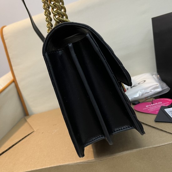 Pinko Bags Top Quality
21x13x6