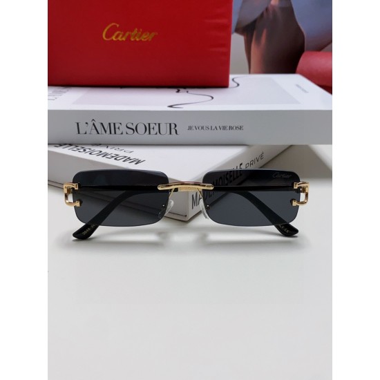 Cartier Glasses