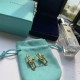 Tiffany Jewelry Earrings
