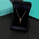 Tiffany Jewelry Necklace