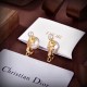 Dior Jewelry Earrings