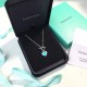 Tiffany Jewelry Necklace