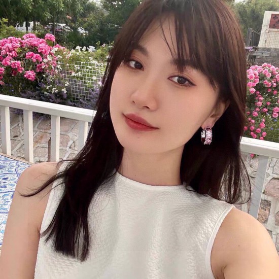 Celine Jewelry Earrings