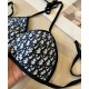 Dior Swimsuit
