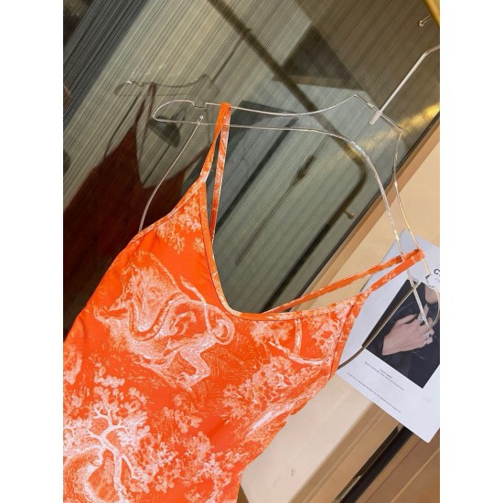 Dior Swimsuit