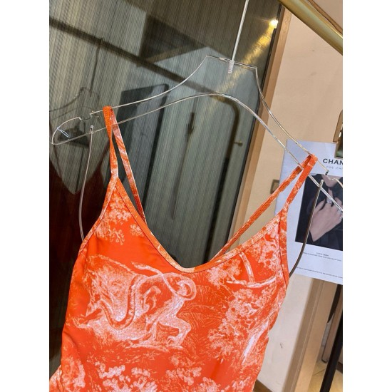 Dior Swimsuit
