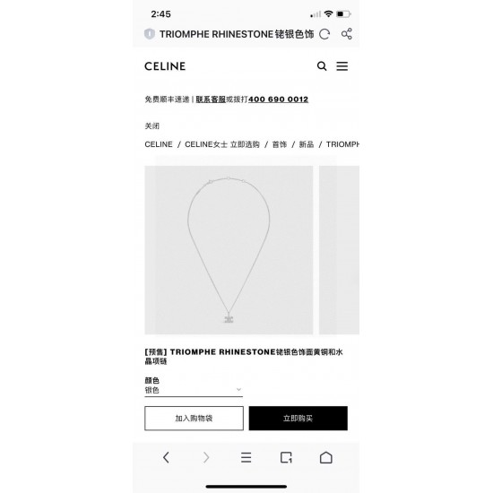 Celine Jewelry Necklace