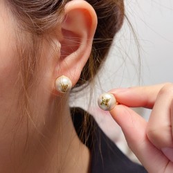 LV Jewelry Earrings