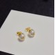 LV Jewelry Earrings