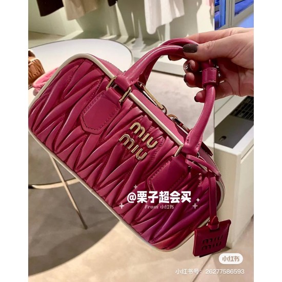 MiuMiu Bags Top Quality 22X10.5X7.5CM
