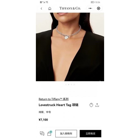 Tiffany Jewelry Necklace