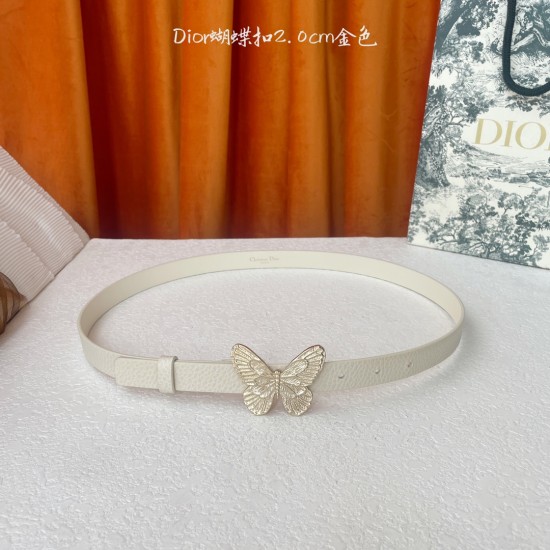 Dior Belts
 Top Quality