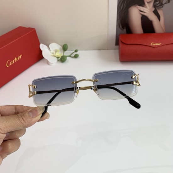 Cartier Glasses