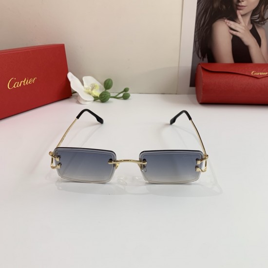 Cartier Glasses