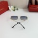 Cartier Glasses