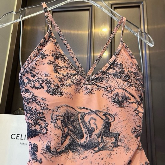 Dior Swimsuit