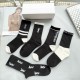 YSL Socks