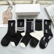 YSL Socks
