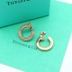 Tiffany Jewelry Earrings