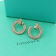 Tiffany Jewelry Earrings