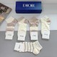 Dior Socks
