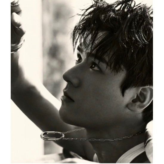 Tiffany Jewelry Necklace