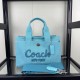 Coach Bags High Quality