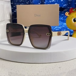 Dior Glasses