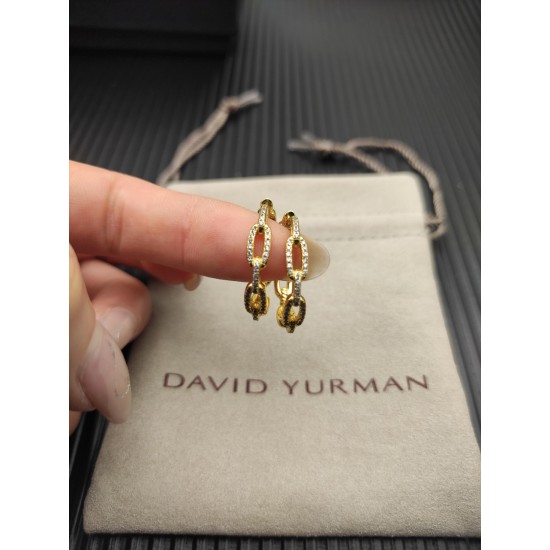 David Jewelry Earrings