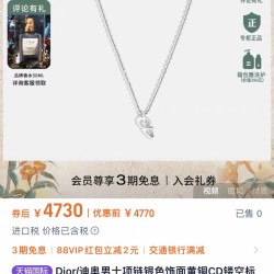 Dior Jewelry Necklace