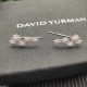 David Jewelry Earrings