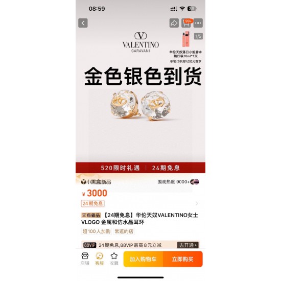 Valentino Jewelry Necklace