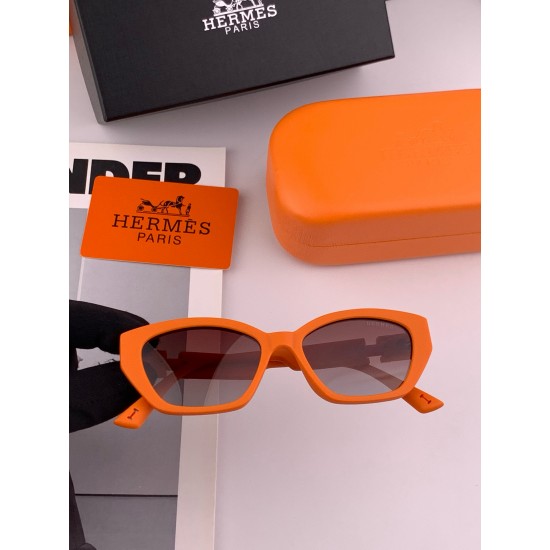 Hermes Glasses