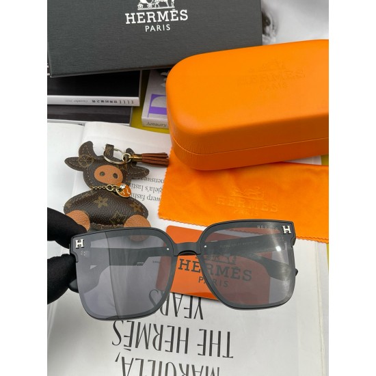 Hermes Glasses