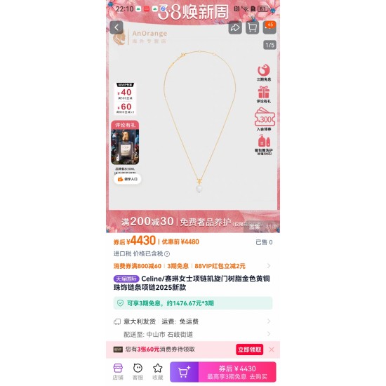 Celine Jewelry Necklace