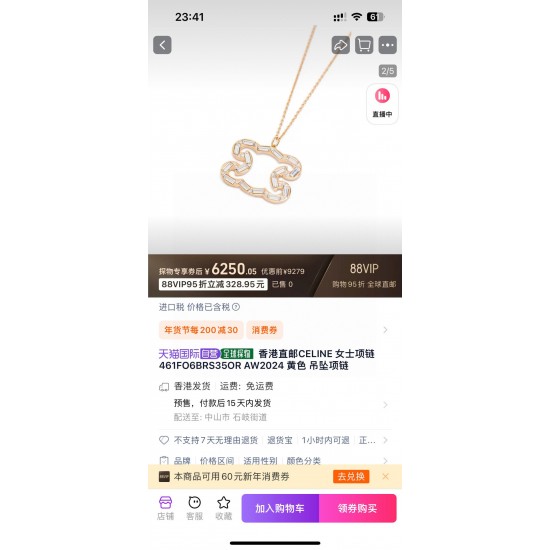 Celine Jewelry Necklace