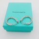 Tiffany Jewelry Earrings