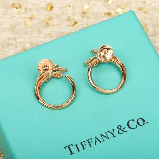 Tiffany Jewelry Earrings