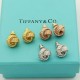 Tiffany Jewelry Earrings